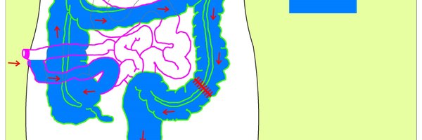 LittleSinuhe Profile Banner