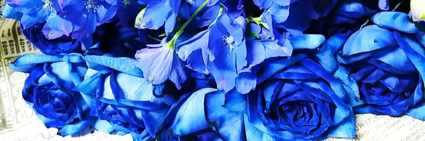 西川路 瑠璃華💙にしかわじ るりか's banner