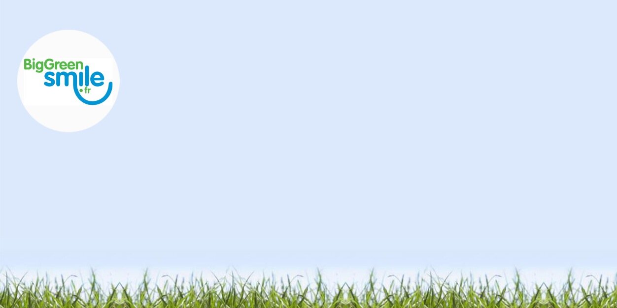 BigGreenSmileFr's profile banner image
