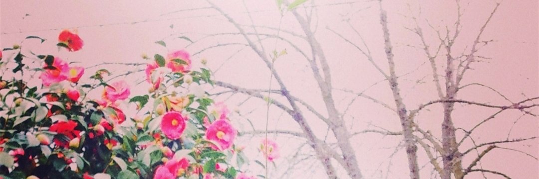 zaanie04's profile banner image