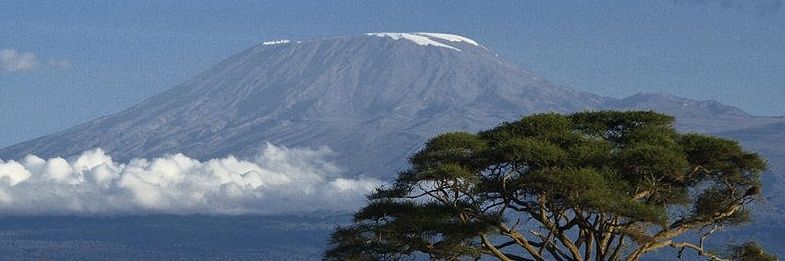 hattibu's profile banner image