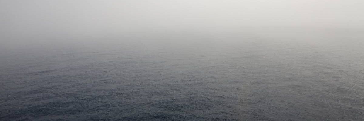 lovemygingercat's profile banner image