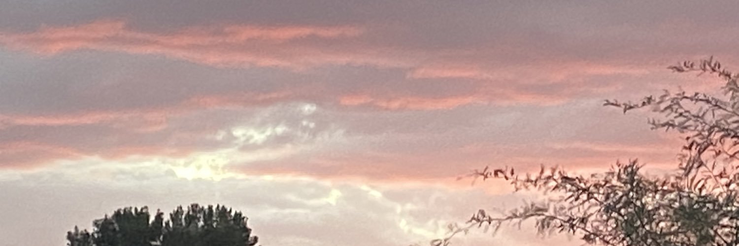 ladylizard420's profile banner image