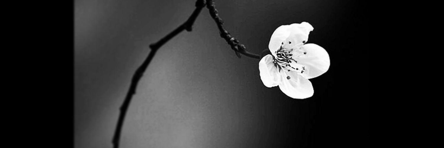 0513KSJ's profile banner image