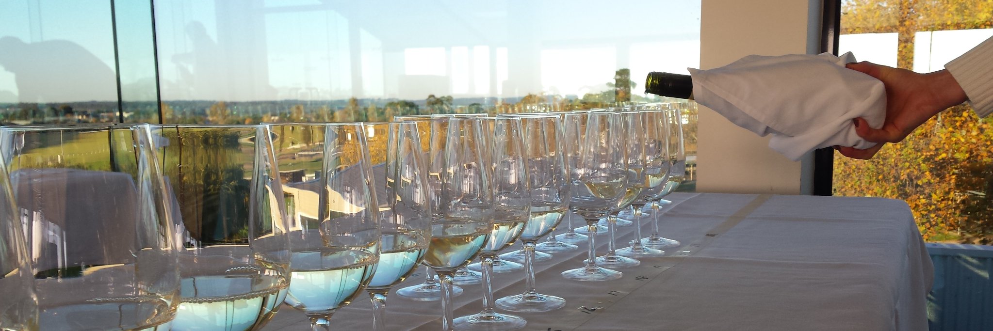 coolclimatewine's profile banner image