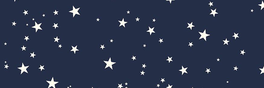 mcobbramos's profile banner image