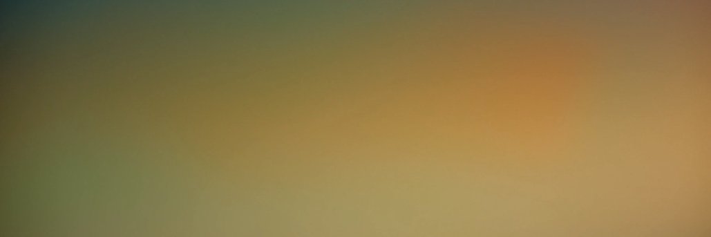 binoo banner