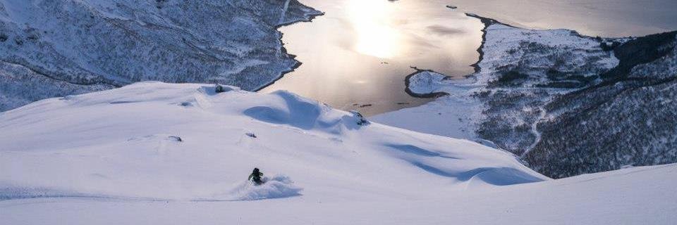 Alpine_Guides's profile banner image