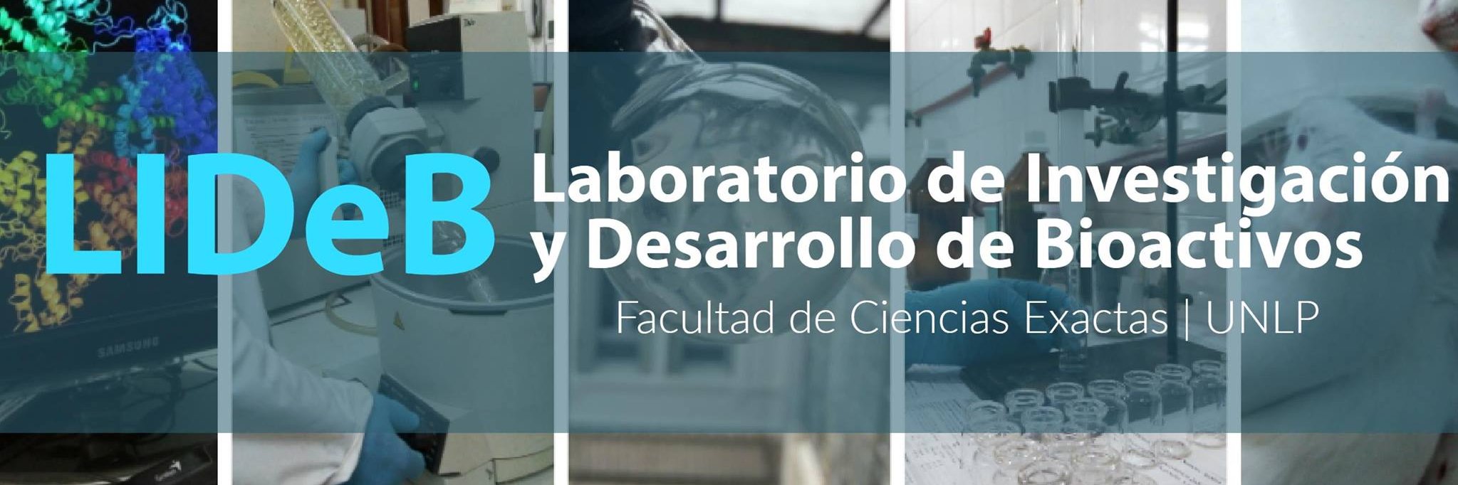 LIDeB banner