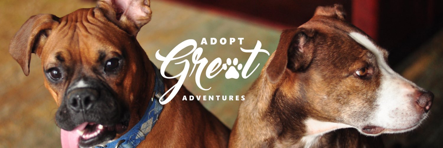 AdoptGreatA's profile banner image