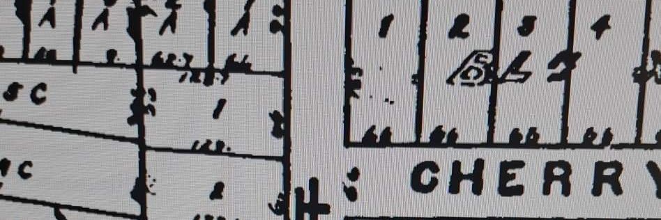 Mackenzie Marsh banner