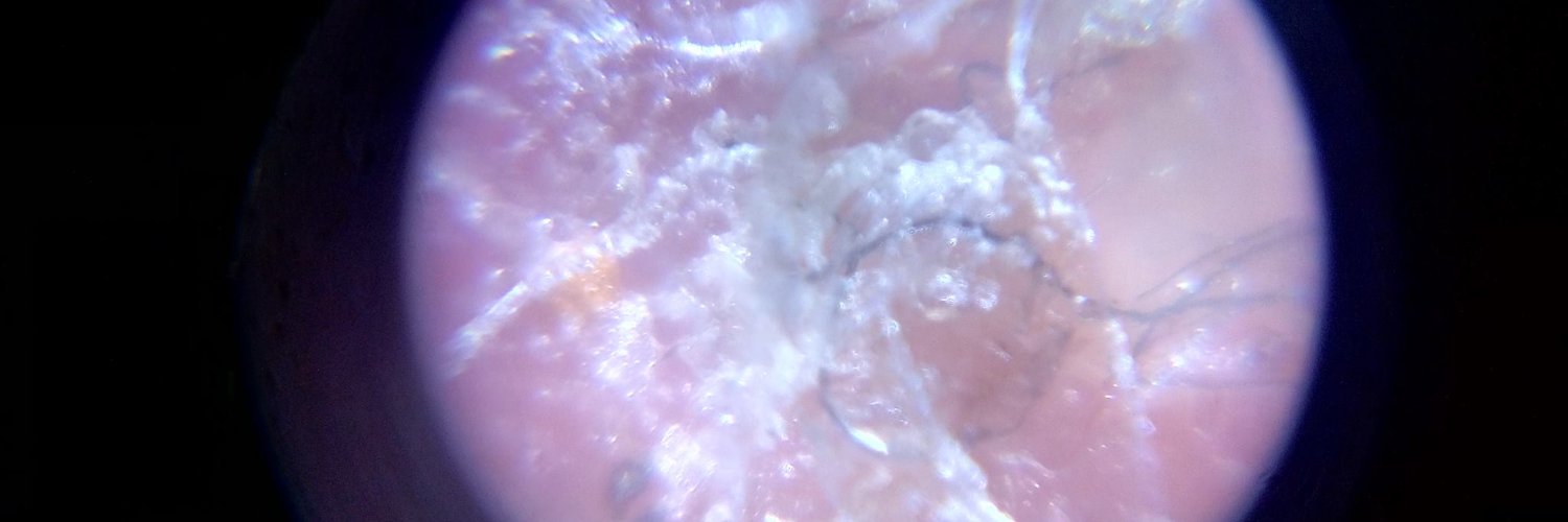 Jeremy Murphree banner