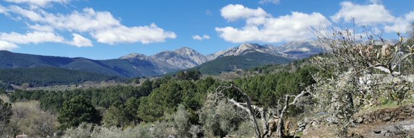 solgmunoz Profile Banner