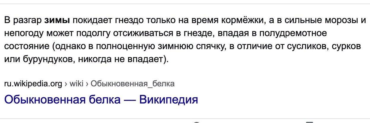 многогранник ехиднаэдр banner