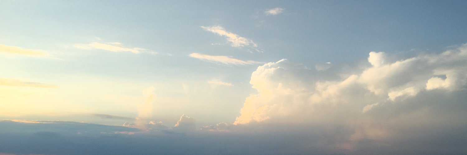 Envy_Shyy's profile banner image