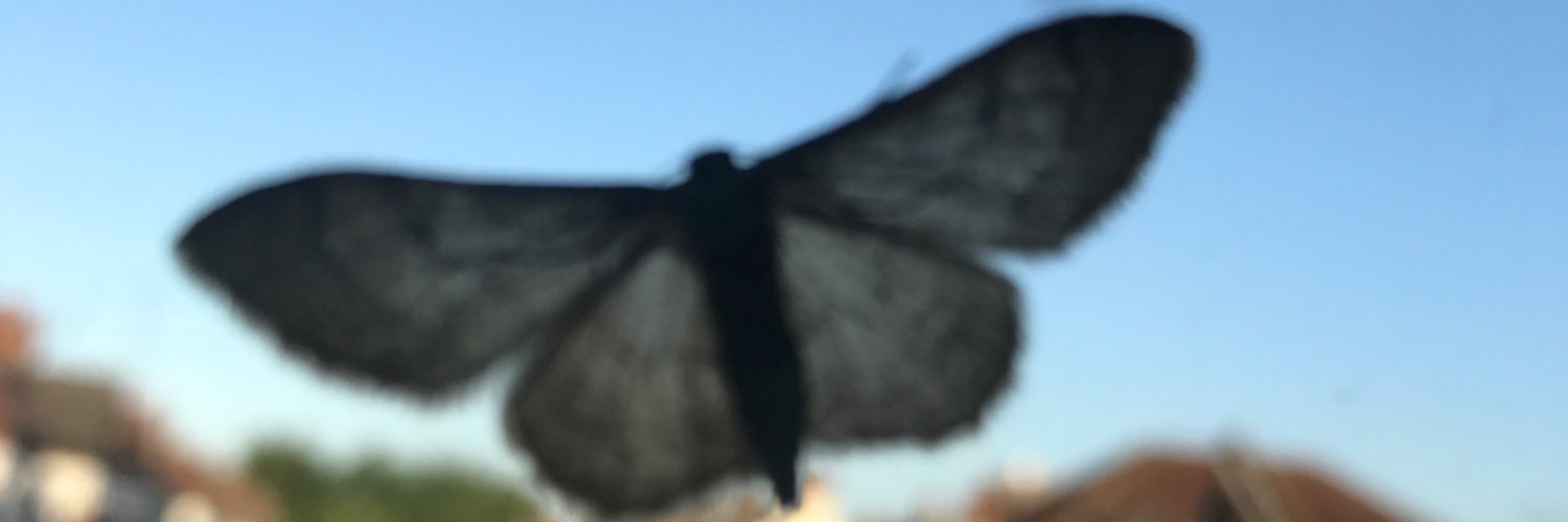ButlerDerren's profile banner image