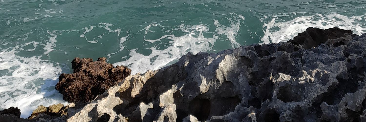 IsraelSolaresP1's profile banner image
