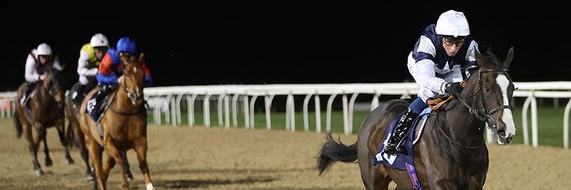 RacegoersClub's profile banner image