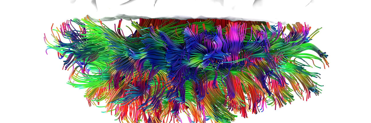 mint_labs's profile banner image