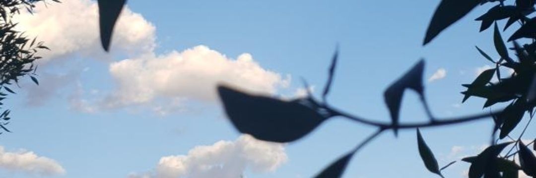 n2n21234's profile banner image