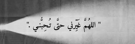 Bisa 𝕏 Marketing banner