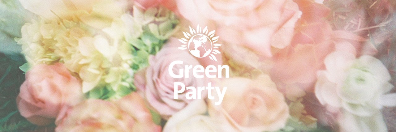 Daventry Green Party banner