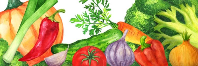 Under the Sun Farm banner