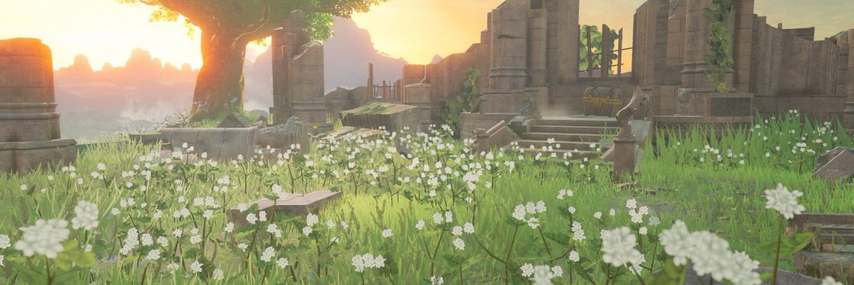 Caarmivore's profile banner image