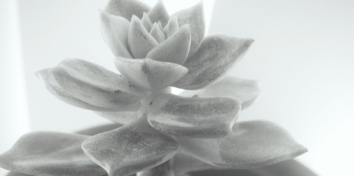 ditkudit's profile banner image
