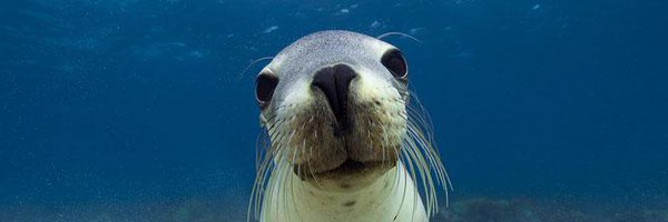 Athi_pap Profile Banner