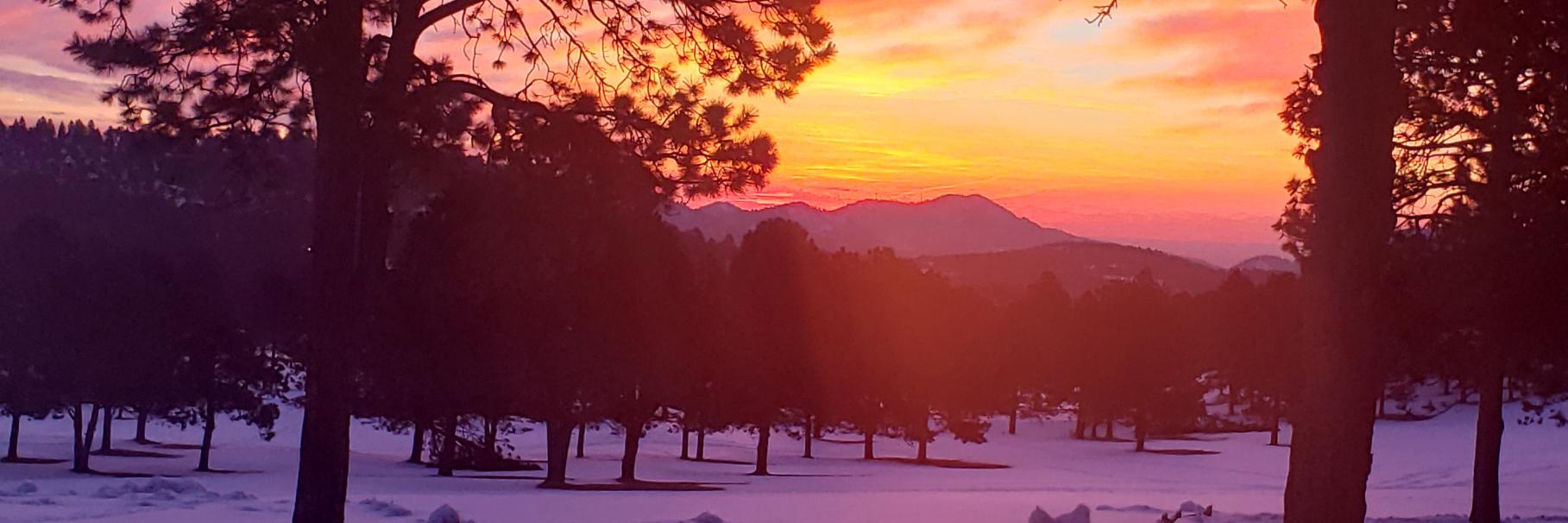 Michael Masterson banner