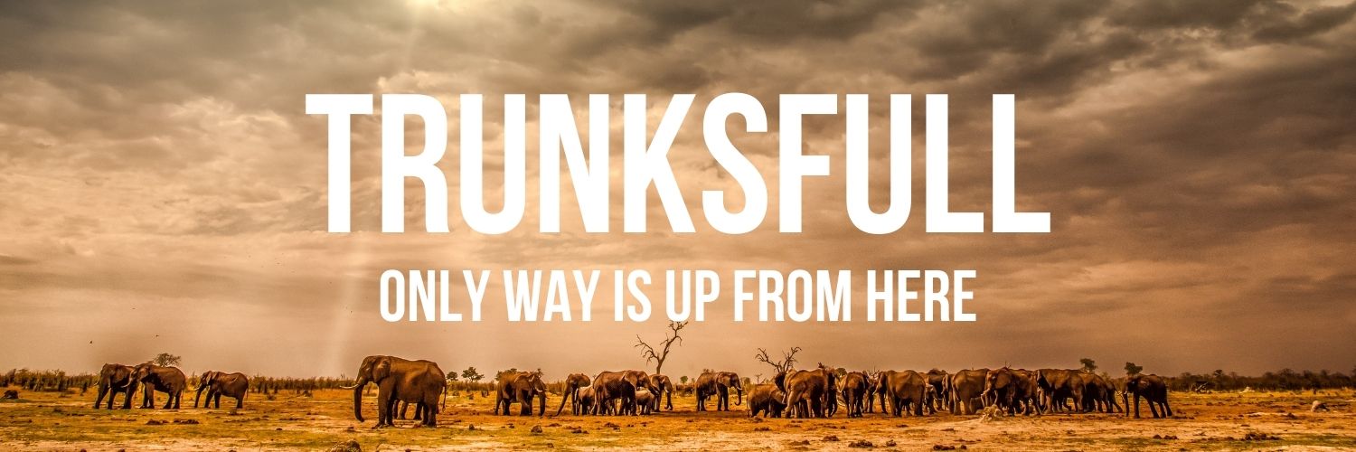 Trunks_full's profile banner image