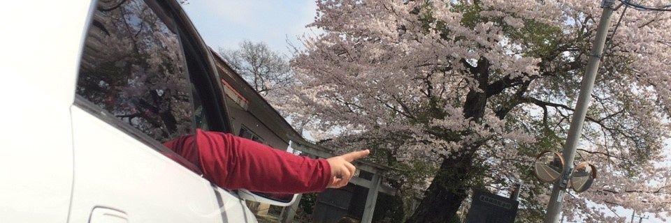daisukeperfume7's profile banner image