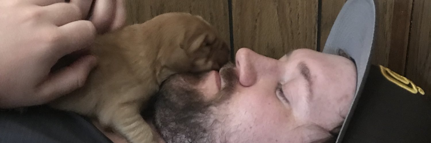 MattWilly30's profile banner image