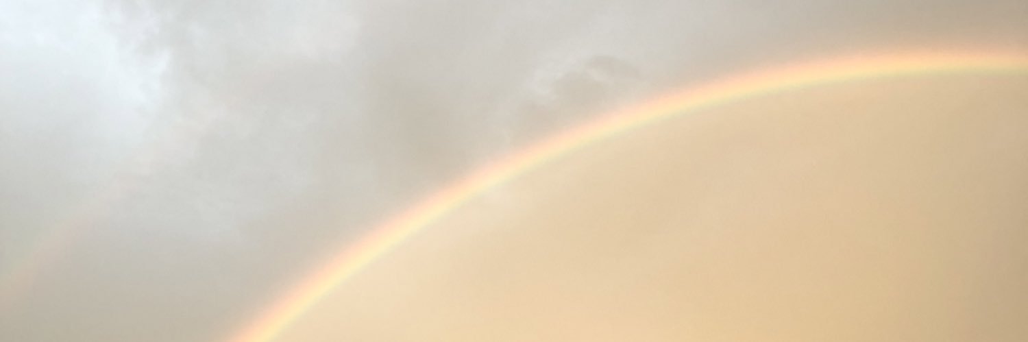 00ponyo's profile banner image