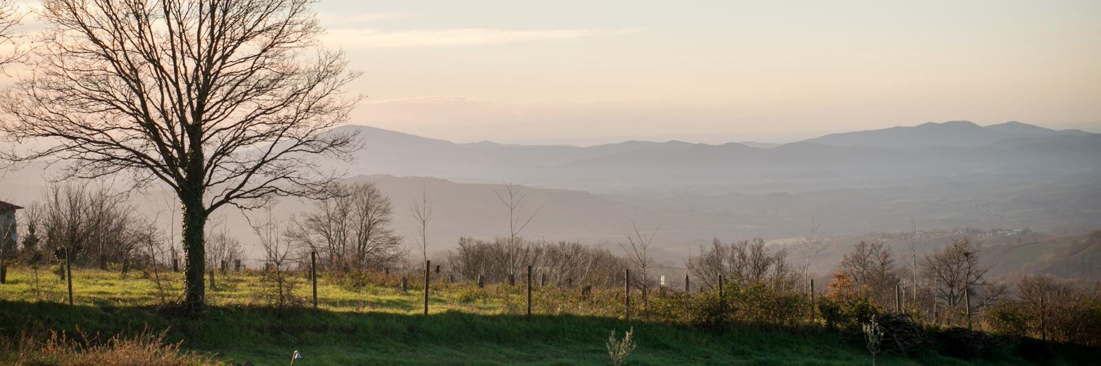 SechiAlberto's profile banner image