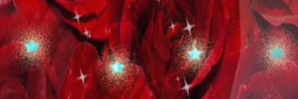 lorribukowski67's profile banner image