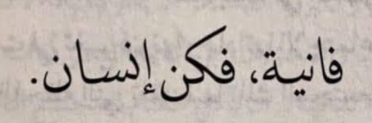 Noha Abdin banner