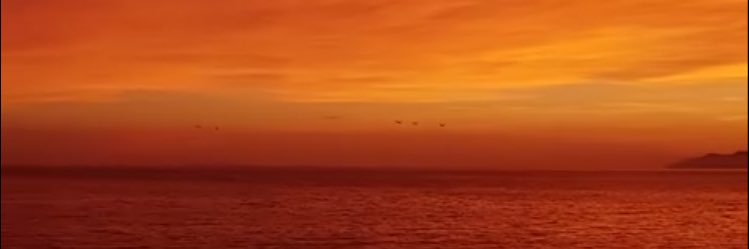 littletroubleam's profile banner image