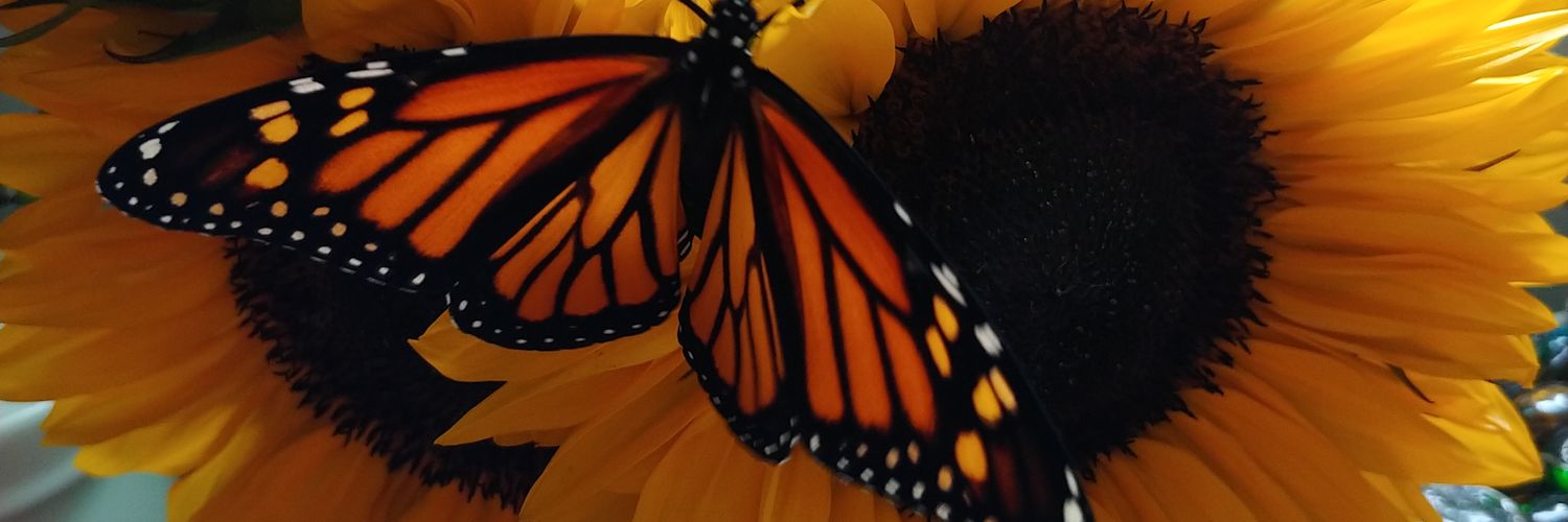 JackieGerhardt2's profile banner image
