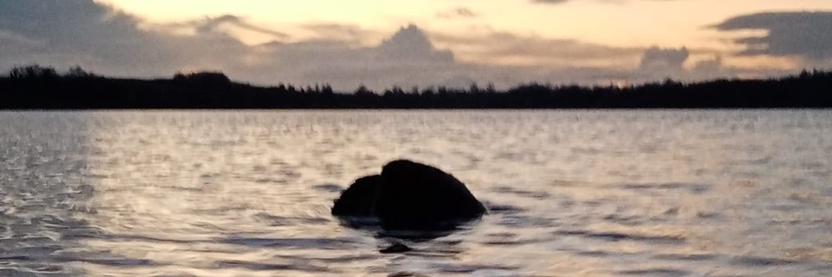 mcbridejuliel's profile banner image