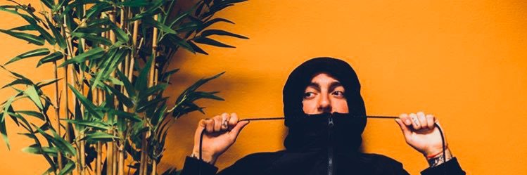 fIowercabin's profile banner image