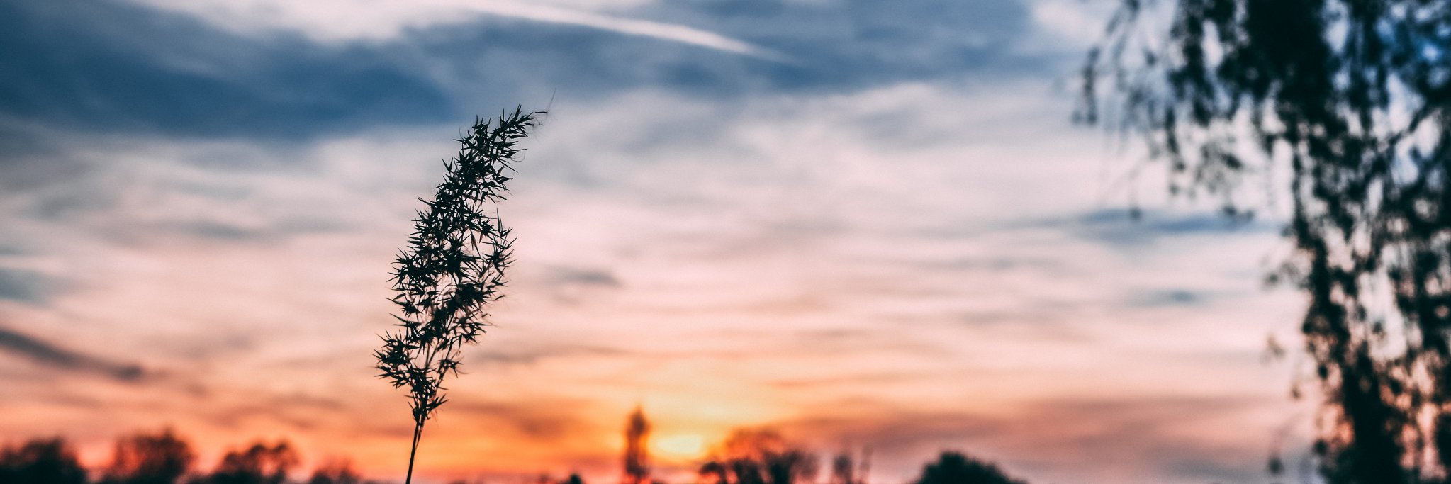 ⟁ Maxime banner