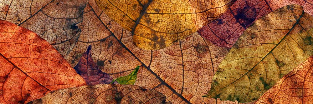 Comunicativamen's profile banner image