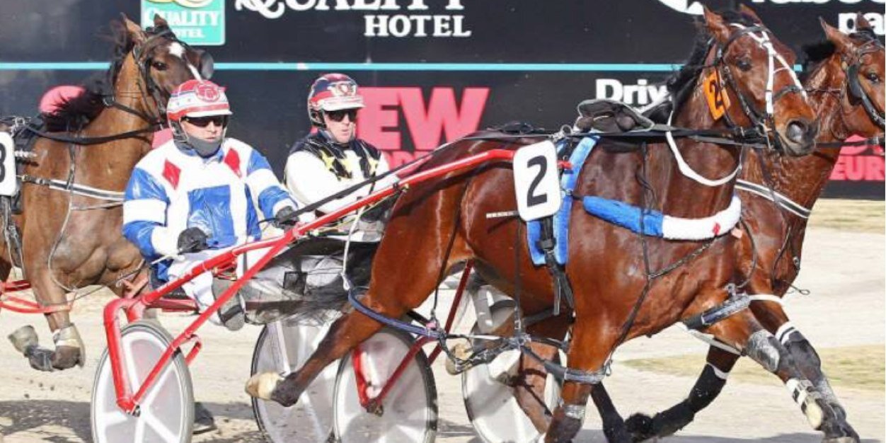 Joe Pezzimenti banner