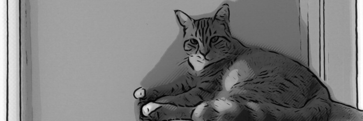 elaradot's profile banner image