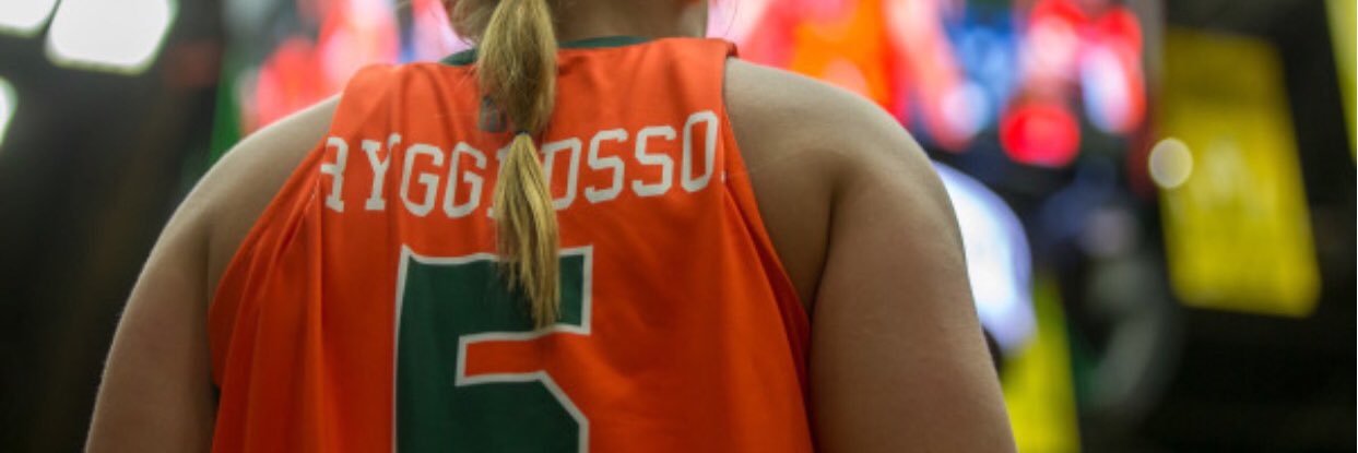 softryggedsson's profile banner image