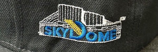 beepee29 Profile Banner