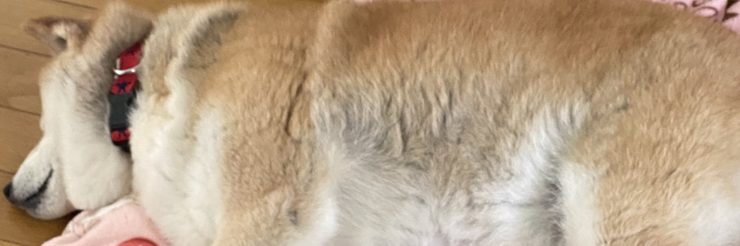 e16_t's profile banner image