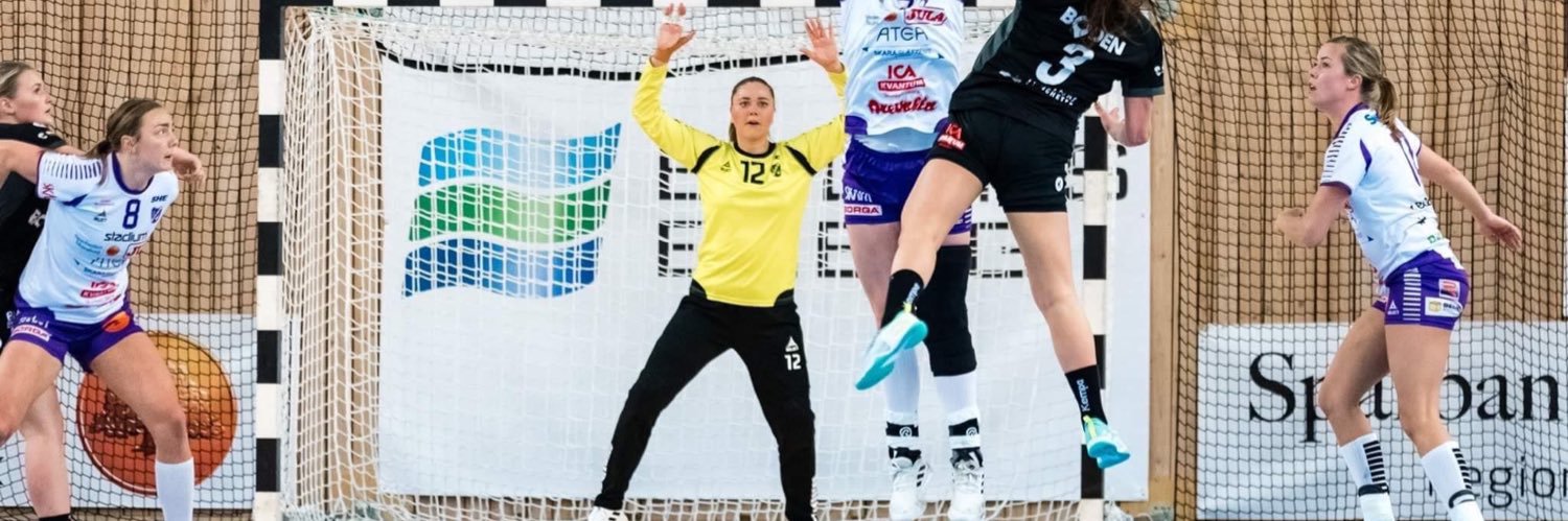 AmandaMouchard's profile banner image